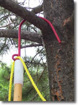 HOOK THE SKYHOOK OVER A BRANCH 