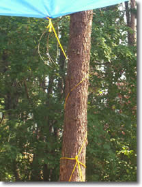 TIGHTEN ROPE AND SECURE END TO TREE